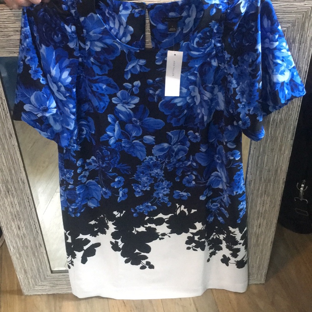 NWT ANN TAYLOR Dress